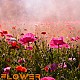 http://emoticon.zigum.coupons/data/editor/2508/thumb-3bb9c44514fd9a06f9e272613f3b30a5_1753976724_2376_80x80.jpg
